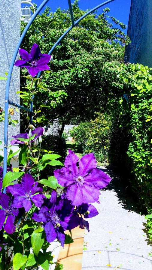 Chambre Avec Jardin Pierre Curie ブリ・シュル・マルヌ エクステリア 写真